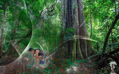 Ayahuasca – effects on the body. What does “cleansing” really mean?