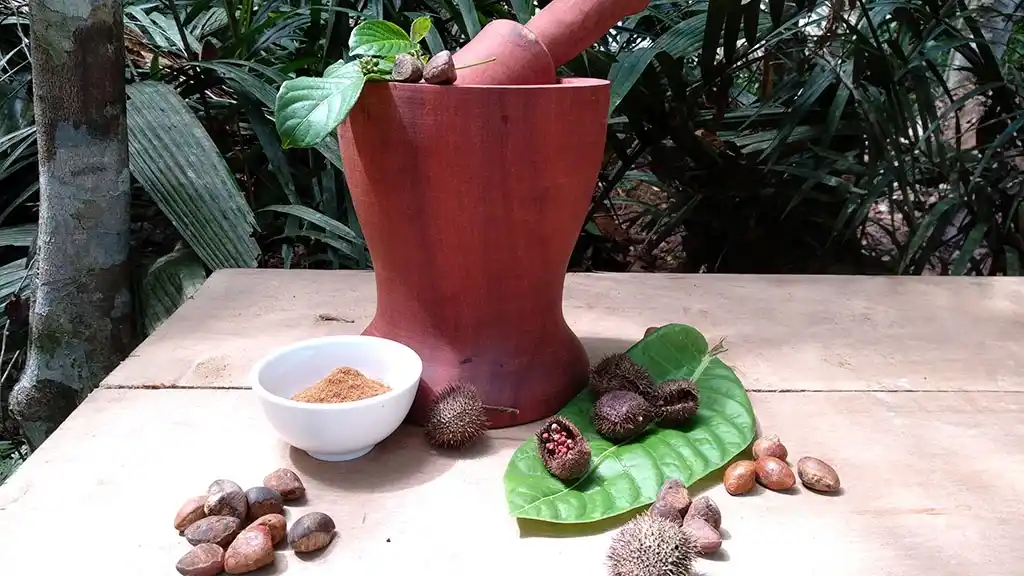 Растения силы