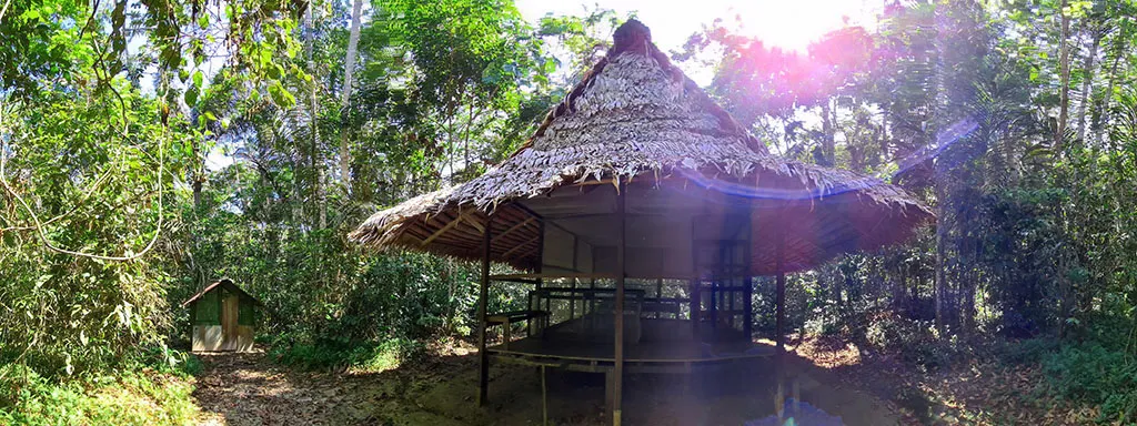 Дом Аяваски