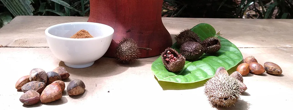 Растения силы