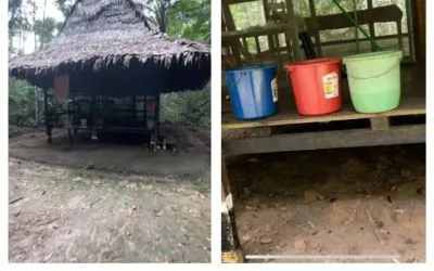 Путешествие в Перу: Отзыв о внутренней трансформации в джунглях Амазонии