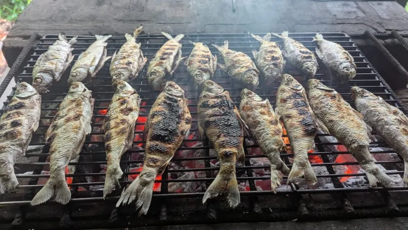 отзыв о ретрите в Перу, диета аяваски, рыба жарится на углях