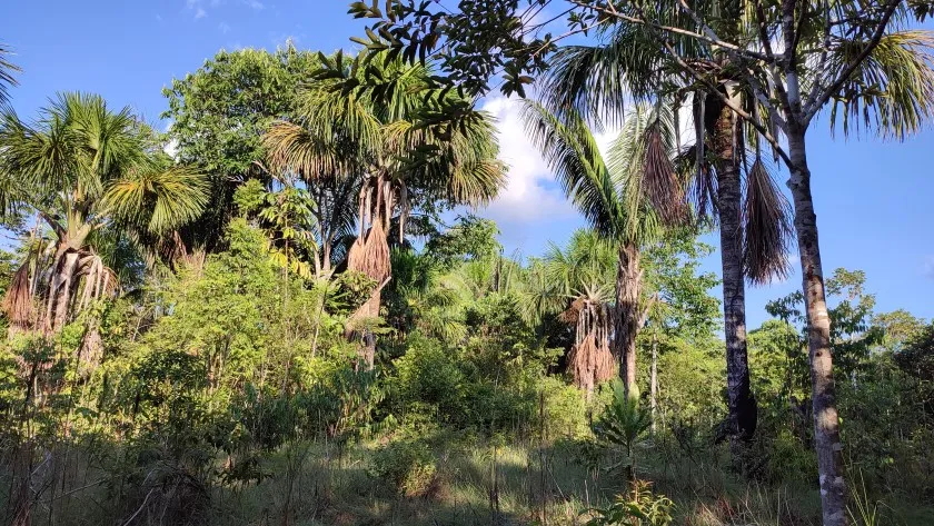 отзыв о длительном 3-хмесячном ретрите в Перу
