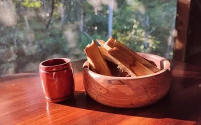 Пало Санто – дерево с душой. Священное растение Южной Америки